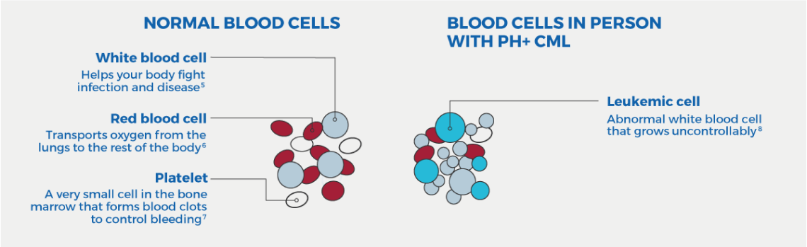 blood cells